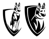 Fototapeta  - standing german shepherd or belgian malinois head and simple heraldic shield - guard dog insignia badge modern black and white vector design