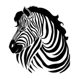Fototapeta Konie - Closeup beautiful potrait Zebra looking at the camera isolated on white background