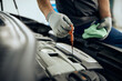 © Drazen - Close-up of auto repairman checks oil level during engine maintenance in workshop.