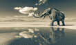 mammoth is angry in the desert after rain with copy space