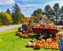 Farm Stand Along The Road Decorated With Halloween Scarecrows, Old Wagon And Tractor, Pumpkins And Jack O' Lanterns

