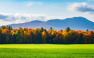 Wall Mural - autumn foliage colors brighten up the landscape in the Vermont countryside
