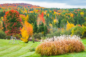 Wall Mural - autumn foliage colors brighten up the landscape in the Vermont countryside
