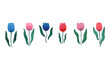 © Tatyana Olina - Collection of spring tulip flowers. Watercolor illustration. Vector illustration