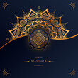 Luxury ornamental mandala design seamless pattern background