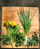 Fototapeta  - wiosenne listki kwiaty i zioła na drewnianej desce zdrowie i witaminy