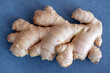 © Ana - Fresh ginger roots against a light blue background, the rhizome of the Zingiber officinale, delicious edible plant used in various dishes for its spicy flavor or in traditional or alternative medicine