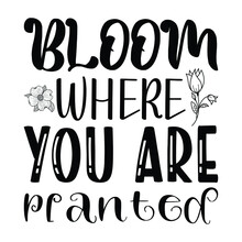 Bloom Where You Are Planted, Can Be Used For Prints Bags, T-shirts, Posters, Cards. Calligraphy Vector. Ink Illustration
