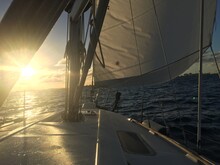 Sailing The Gulsfream, Miami/FL