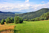 Fototapeta  - Summer landscape in the mountains with green meadows and forested hills, Low Beskids (Beskid Niski), Poland 