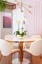 Chairs Around Round Table Decorated With Blooming Orchid
