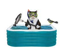 A Colored Cat Underwater Hunter In A Mask And A Snorkel Caught A Fish With A Harpoon In An Inflatable Pool. White Background. Isolated.