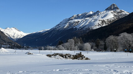 Wall Mural - Engadine