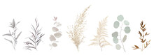 Mix Of Herbs And Plants Vector Big Collection.