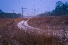 Snow In The Forest With The Curved Road, Dried Wild Plants, And Electrical Poles With Power Lines