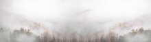 Amazing Mystical Rising Fog Forest Trees Landscape In Black Forest ( Schwarzwald ) Germany Panorama Banner .- Dark Mood..