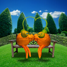 Crazy Kissing Mandarins. These Two Lovers Couldn't Keep Their Lips Off Each Other When They Managed To Slip Away From The Crowded Fruit Bowl, And Into The Field Of Romance.