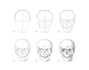 Wall Mural - Page shows how to learn to draw sketch of human skull. Creation step by step pencil drawing. Educational page for artists. Textbook for developing artistic skills. Online education. Vector image