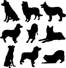Border Collie Dog Silhouette Pack
