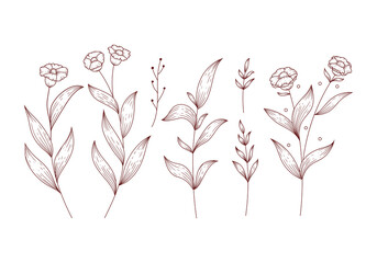 Wall Mural - Rustic brown flower and isolated floral leaves clipart vector illustration set