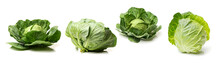 Cabbage On A White Background