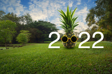 Pineapple with sunglasses and 2022 white text on green grass and trees in public park, Happy new year 2022 summer holiday concept