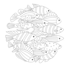 Wall Mural - abstract round mandala with collection of freshwater fish for yo