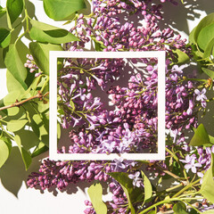 Trend sunny lilac mockup. White paper. Nature garden design. Congratulations flower and leaves card. Purple flora fantasy. Aerial view. Romantic template. Modern concept