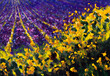 Flowers paintings monet painting claude impressionism paint landscape flower meadow oil yellow sunny wildflowers and purple lavender field texture painting fragment