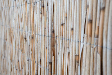  bamboo background horizontal wall