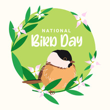 National Bird Day Vector Illustration On White Background. Suitable For Greeting Card Poster And Banner. Flat Style Vector. Carolina Chickadee Illustration