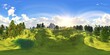 HDRI, environment map , Round panorama, spherical panorama, equidistant projection, panorama 360, Forest and swamp, 3d rendering