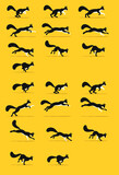 Fototapeta Koty - Storyboarding a cat running and jumping. Vector image of a feline movement. Image to create animation