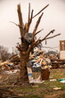 Tornado disaster devastation includes tree damage, devastated neighborhood, and debris.