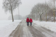Winter, Spaziergang, Paar, Ehepaar, Leute, laufen, gehen, spazieren, schnee, eis, glätte, gefahr, wandern, erholung, frische luft,