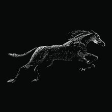 Wild Horse Hand Drawing Vector Illustration Isolated On Black Background