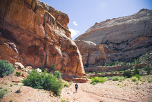 Hiker Walking On Trail Surrounded By Canyon Walls.