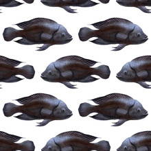 Seamless Pattern With Drawing Tropical Fishes At White Background, Hand Drawn Illustration
