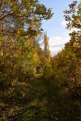 Canvas Print - Landschaft am Haßbertrauf beim Fachwerkdorf Nassach im Naturpark Haßberge, Gemeinde Aidhausen, Landkreis Haßberge, Unterfranken, Franken,  Deutschland