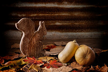 Two Butternut Pumpkins On A Autumn Leaves And A Textured Floor And Rusty Corrugated Iron Background With A Wooden Squirrel In A Rustic Country Style Display..