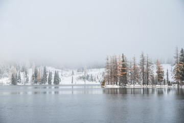 Wall Mural - Snow at Strbske pleso, Slovakia. Beautiful Winter nature, Christmas Scenery, white edit space