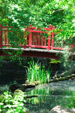 Footbridge Over The Pond . Red Bridge In The Park . Green Nature With Lake  . Idyllic Nature Scenery 