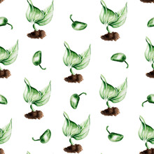 Sprouted Grain Watercolor Seamless Pattern. Template For Decorating Designs And Illustrations.