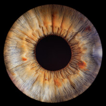 Eye Iris