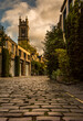 The beautiful picturesque cobbled street of Circus Lane, only a couple of minutes walk away from Edinburgh City center, Scotland