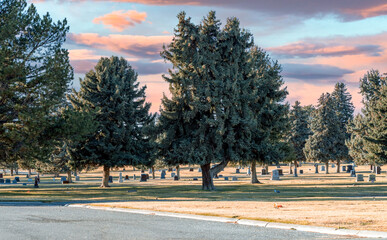 Poster - Cemetery in Autumn