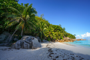 Wall Mural - beautiful  tropical beach anse georgette on praslin on the seychelles