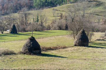 Wall Mural - Straw mulch, for animals in winter, in the middle of the field