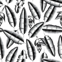 Black And White Banana Plants Leaves Tropical Seamless Pattern In Monochromatic Color Style On White Background. Vector Designs. Fashion Print Texture. Exotic Tropics. Summer Designs. Wallpaper Decor