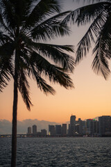 Wall Mural - sunset palms sky color orange Miami Florida usa panorama vacation travel sea buildings urban skyscrapers 